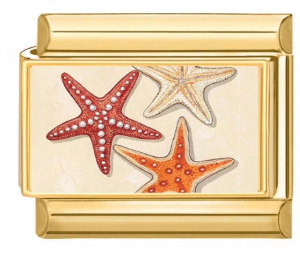 CHARM ITALIEN ETOILE DE MER CLASSIQUE